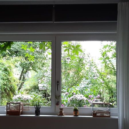 Ferienwohnung Hering In Dill Luaran gambar