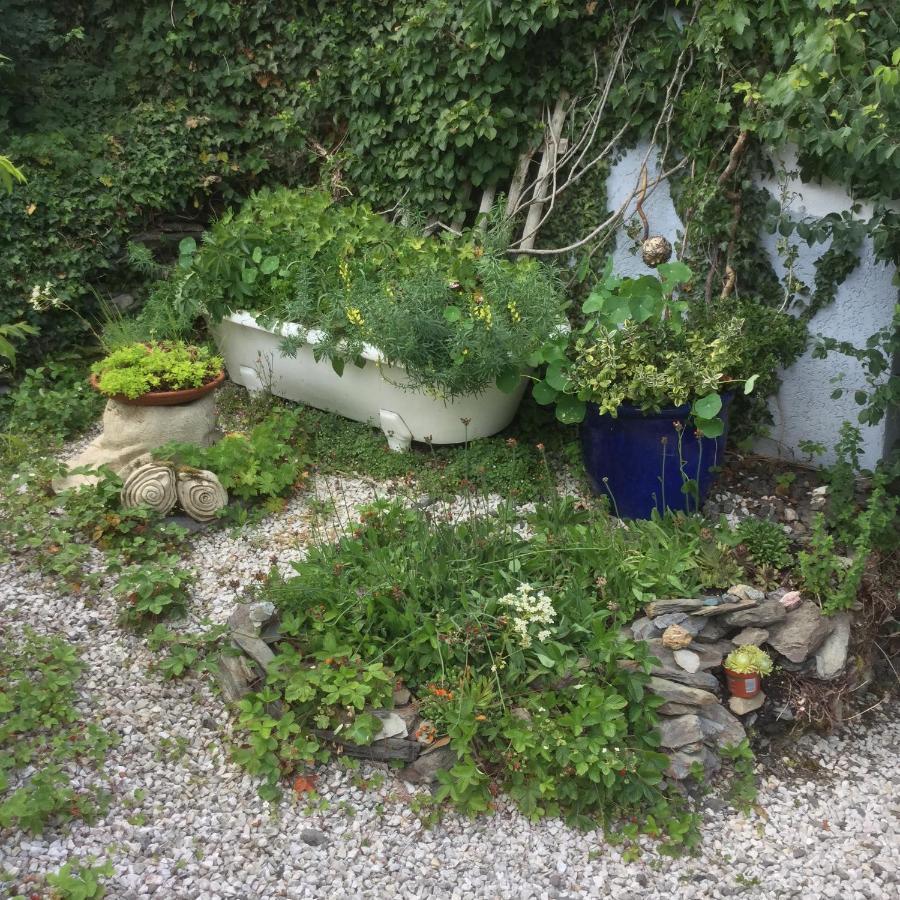 Ferienwohnung Hering In Dill Luaran gambar