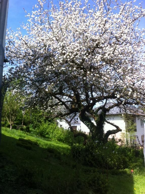 Ferienwohnung Hering In Dill Bilik gambar