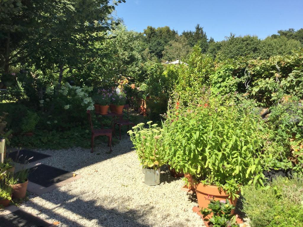 Ferienwohnung Hering In Dill Luaran gambar