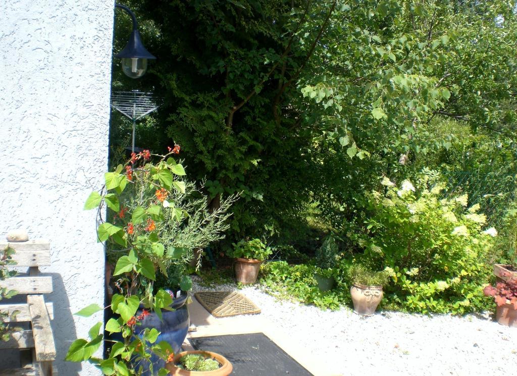Ferienwohnung Hering In Dill Bilik gambar