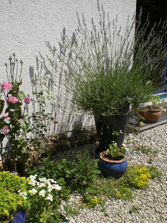 Ferienwohnung Hering In Dill Bilik gambar